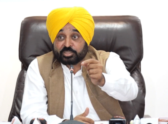 Case of DAP fertilizer sample failure in Punjab, Agriculture Minister sent report to CM