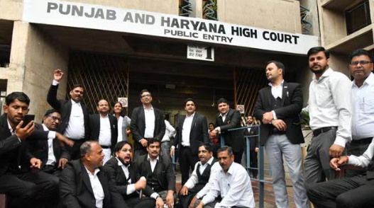 Lawyers' strike in Chandigarh: Protest against the power of rent controller, proxy advocates appointed on every floor.